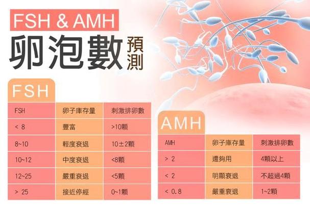 试管可以同时供卵供精吗【试管技术是否可以同时供卵供精？】